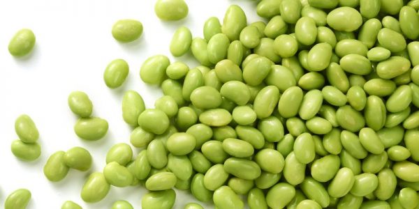 edamame-ic–800×400